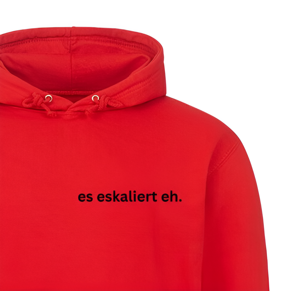 es eskaliert eh. - Hoodie